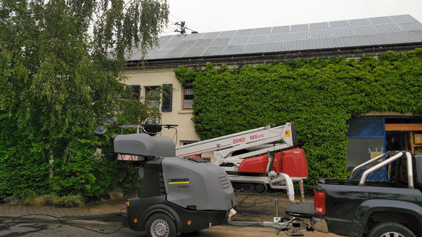 Rückschnitt Hausbegrünung