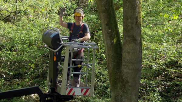 Hochentastung - Beseitigung von Sturmschäden