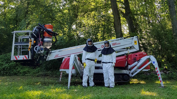 Eichenprozessionsspinner entfernen